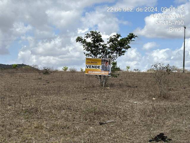 Sítio para Venda em Arapiraca - 4