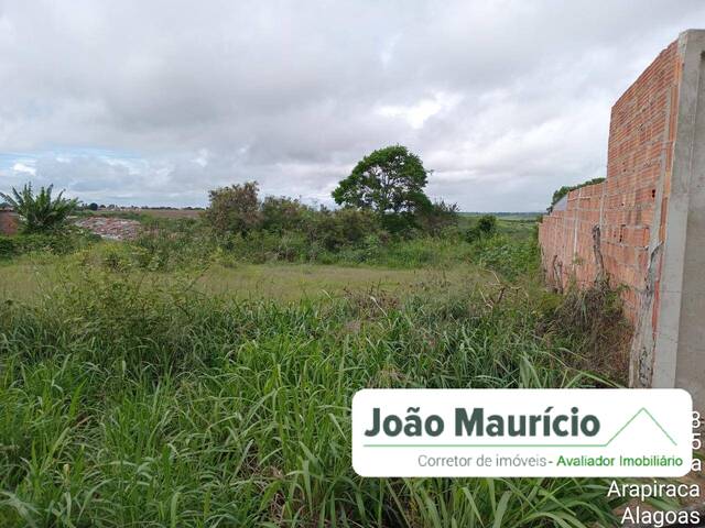 #41 - Área para Venda em Arapiraca - AL - 2